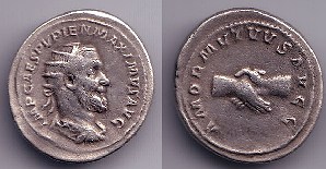 dg15