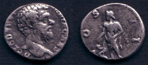 dg33